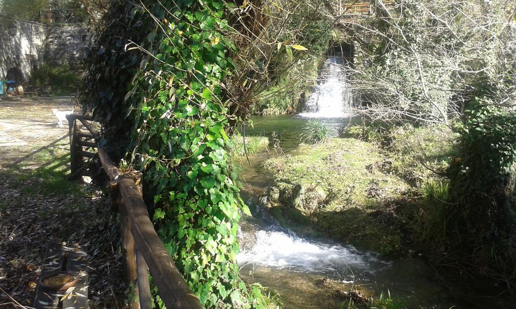 הוילה Castel Madama L'Antica Mola חדר תמונה